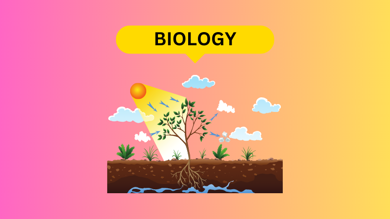 Class 12 - BIOLOGY
